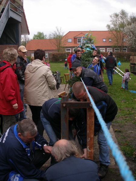 maibaum_08_(36).jpg