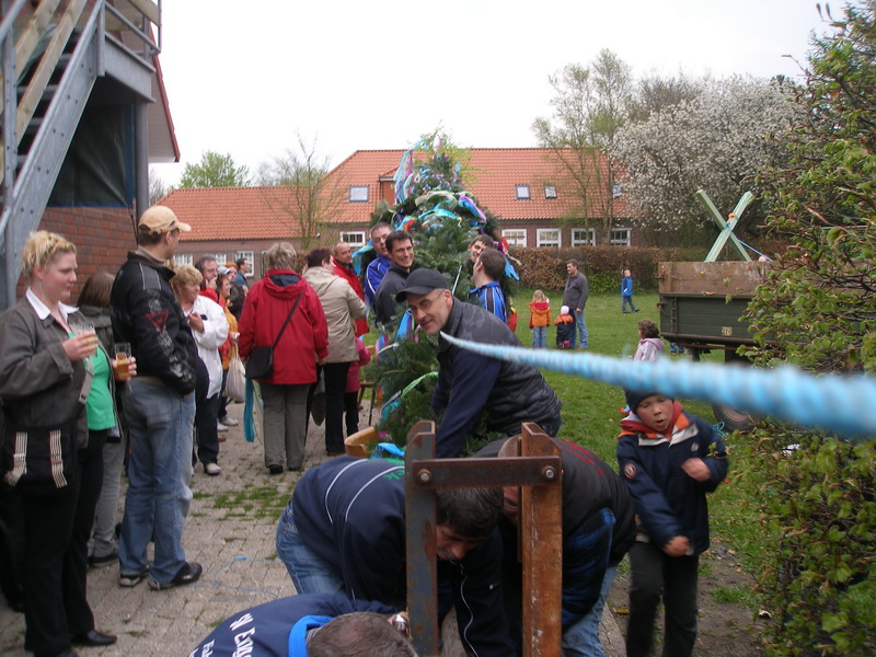 maibaum_08_(37).jpg