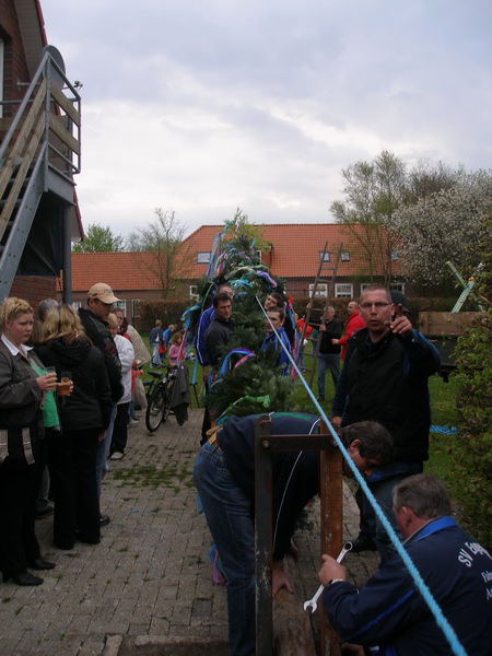 maibaum_08_(39).jpg