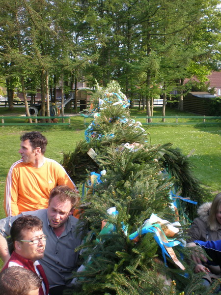 maibaum_(15).jpg