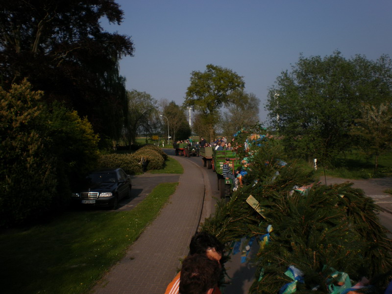 maibaum_(24).jpg