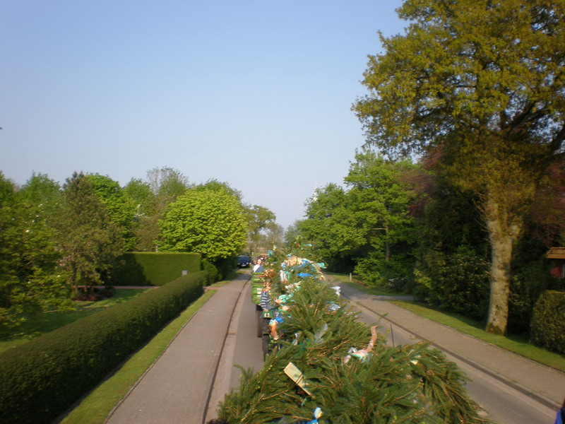 maibaum_(26).jpg