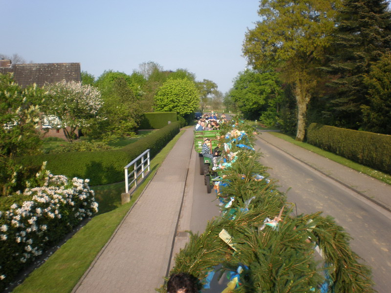 maibaum_(27).jpg