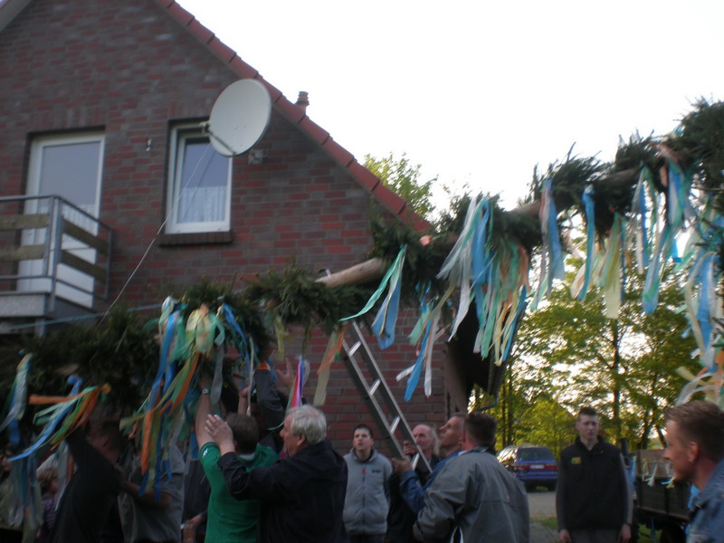 maibaum_(44).jpg