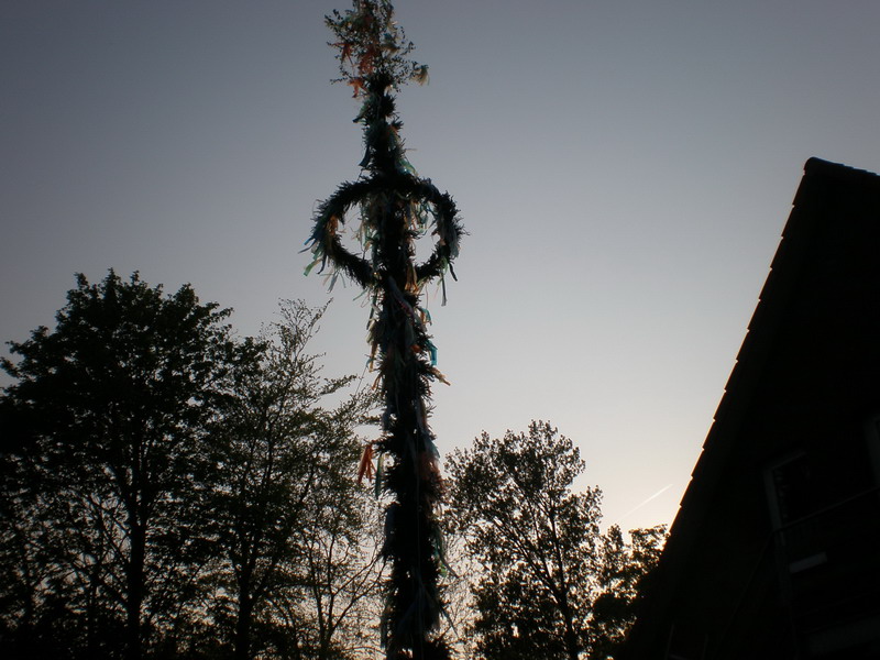 maibaum_(47).jpg