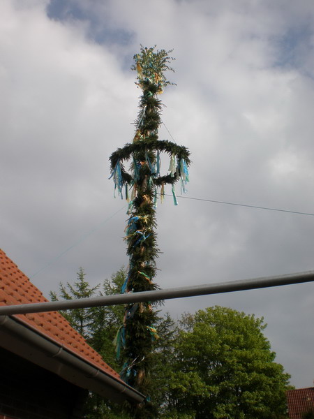 maibaum_(75).jpg