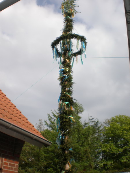 maibaum_(76).jpg